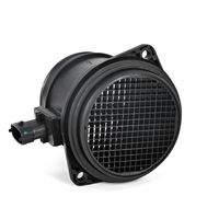 DELPHI Luchtmassameter 6