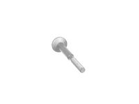 Thumbnail - Schroef, inspuitstukhouder - BS0040 - ET ENGINETEAM