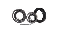 Set rulment roata SKF, Cod: VKBA 539