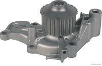 Wasserpumpe, Motorkühlung