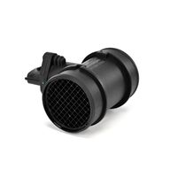 DELPHI Luchtmassameter 5