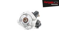 METZGER AUTOTEILE Hogedrukinspuitpomp 4