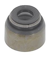 Dichtring, Ventilschaft