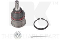 Trag-/Führungsgelenk