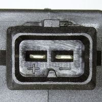Article Picture