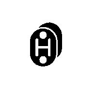 Halter, Abgasanlage