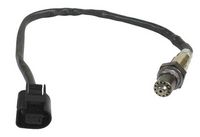 ламбда-сонда