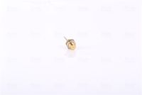 NISSENS Sensor, koelvloeistoftemperatuur 3