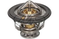 термостат, охладителна течност