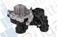 Wasserpumpe, Motorkühlung