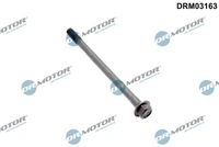 Skrūve, Sprauslas korpuss DRM03163 Dr.Motor