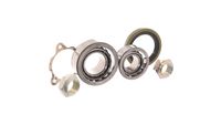 Set rulment roata SKF, Cod: VKBA 3508