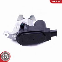 Article Picture