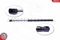 Gas Spring, boot/cargo area