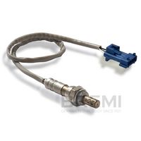 ламбда-сонда