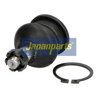 Article Picture