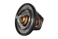 Thermostat, Kühlmittel