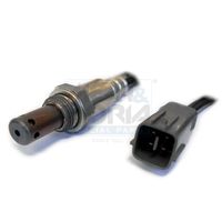 ламбда-сонда