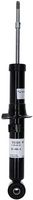 Article Picture