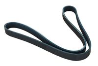Curea transmisie cu caneluri ASAM AUTOMOTIVE, Cod: 30693