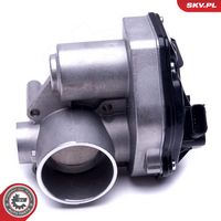 Article Picture
