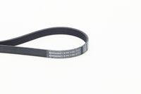 Curea transmisie cu caneluri CONTITECH, Cod: 6PK1195