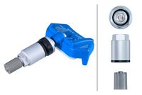 Radsensor, Reifendruck-Kontrollsystem