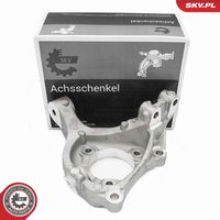 Steering Knuckle, wheel suspension