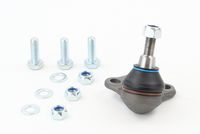 Trag-/Führungsgelenk