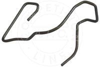 HALTEFEDER GLüHLAMPE (HAUPTSCHEINWERFER)