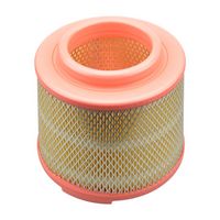 Luftfilter Luftfilter