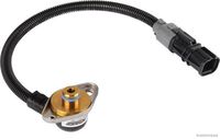 Sensor, Ladedruck