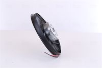 Article Picture