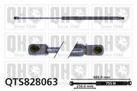 Gasfeder, Koffer-/Laderaum