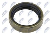 Article Picture