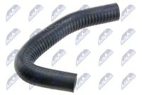 Radiator Hose
