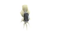 Thumbnail - Koelventilatorwiel - CFF524000P - MAHLE
