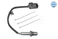 ламбда-сонда