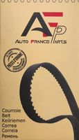 V-Belt