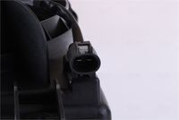 Article Picture