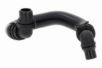 Article Picture