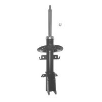 Amortizor CTR, Cod: GY2350G