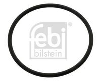 Dichtring, Achsschenkel