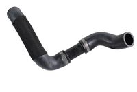 Furtun radiator METZGER AUTOTEILE, Cod: 2422488