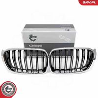 Radiator Grille