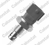 Sensor, Ansauglufttemperatur