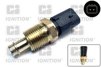 Sensor, Ansauglufttemperatur