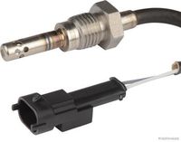 Sensor, Abgastemperatur