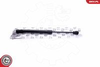 Gas Spring, boot/cargo area