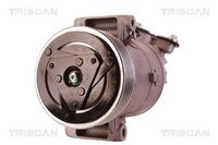 Compresor, climatizare TRISCAN, Cod: 9020 14020